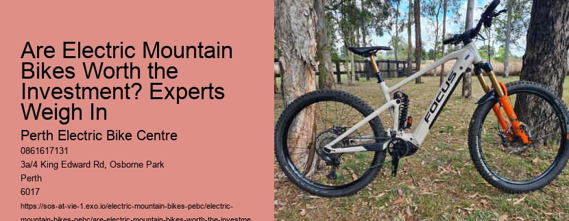 Are Electric Mountain Bikes Worth the Investment? Experts Weigh In
