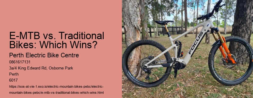 E-MTB vs. Traditional Bikes: Which Wins?