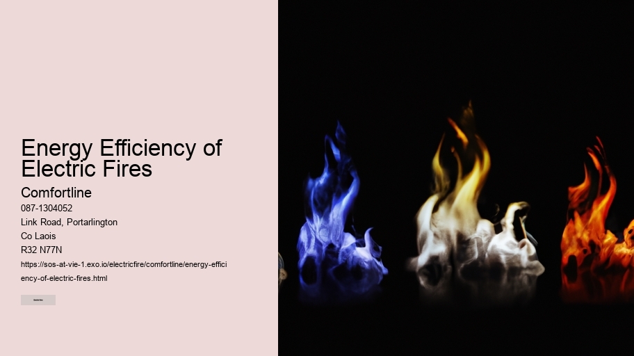 Energy Efficiency of Electric Fires